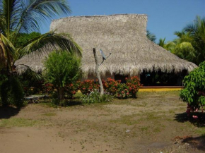 La Coralina azul